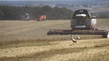 � 2026 ���� � ���������� ������� ������������� ������� ����� 1 ��� ���� �������