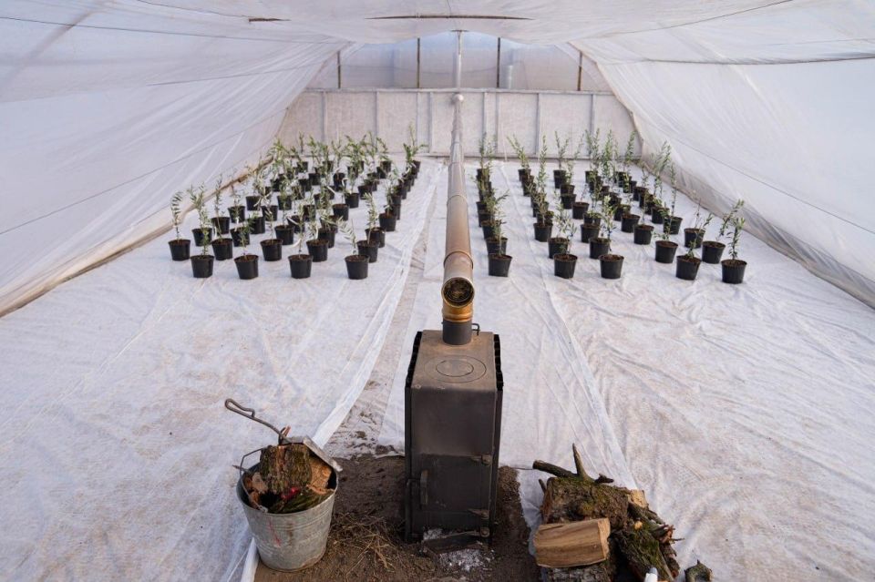 � �� ��� ������.... ������������ ����������: ����� �������� �� ���� (�����������) �� ��������� � ������������ � ���������� ��������� �������� ���������� ����������� � ����������� ������