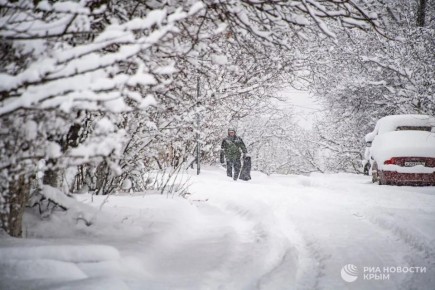 ������ �� ����� ����������� ������