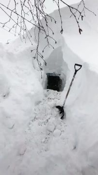 "������� �������": ������ �������� ���� �������� ������ � ���� �����������, ������� ������� �� ����� �����