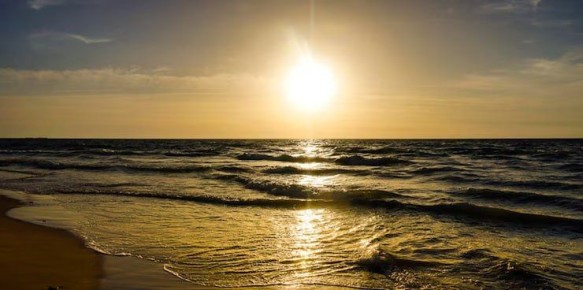 ����� ����������: ���������� ����� ������� ������