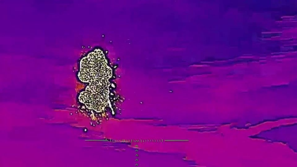 �������� ������: ������� �������� ��������� 49-� ������������� ����� ����������� ����� ������ ����� ������ ����������� ��� � ���������� �������