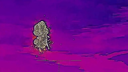 �������� ������: ������� �������� ��������� 49-� ������������� ����� ����������� ����� ������ ����� ������ ����������� ��� � ���������� �������