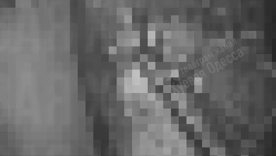 ����� �������� ������� ��������� �������� ��������������