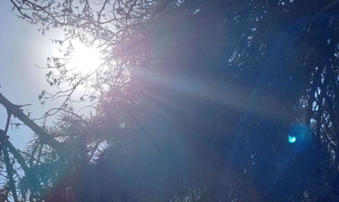 ������ ����� �������� � ���������� ������ ����