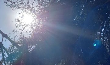 ������ ����� �������� � ���������� ������ ����