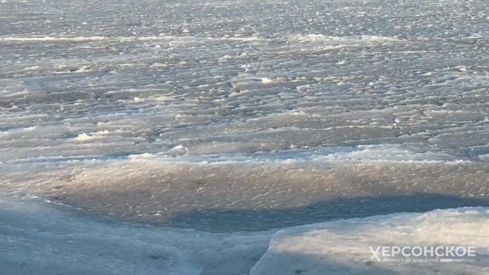 �������� ���� �������� ����� ���������