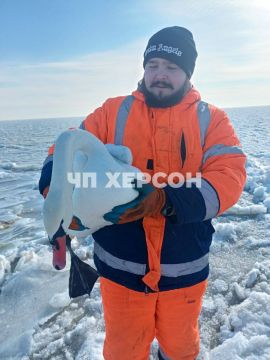 ��� ������ ������ ��������� �� ������� ������� � ���������