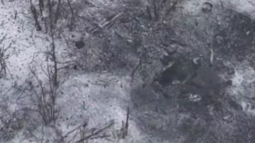 ��������� FPV-������ ����������� ����� ������ ������� ����� �� �������� ��� � ����������� �������