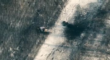 ���������� ��������� �������� ���������