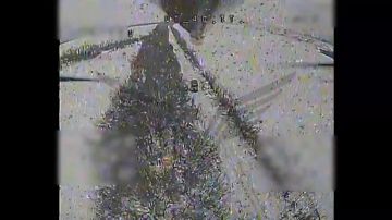 ��������������� �����������