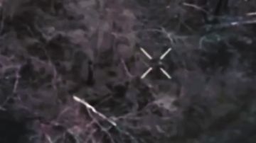 ����� �������� ����������. ��������-����� ���������� �������