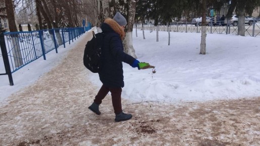 ������ ��������: ������ �� ������ � ����� �������