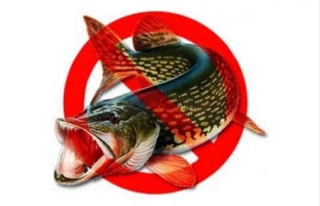 ��������, ������ ����������!