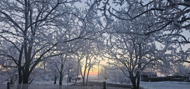 ������� �������: ������ ����, ������ �������� � ����������� ������!