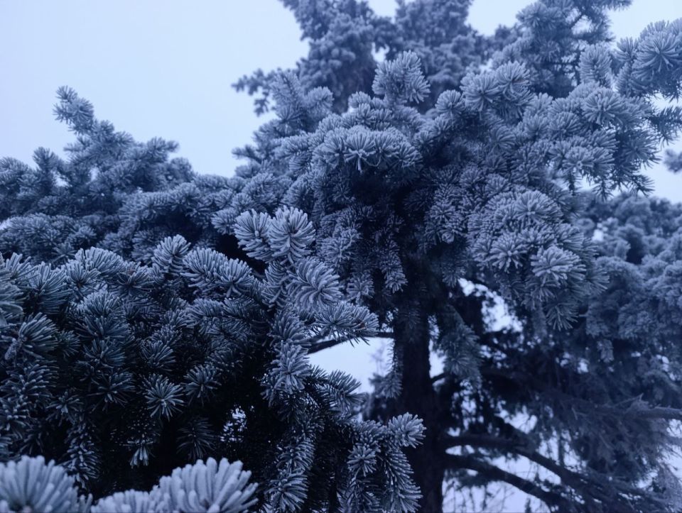 Доброе утро, жители и гости Генического округа! Доброе утро, жители и гости Генического округа!