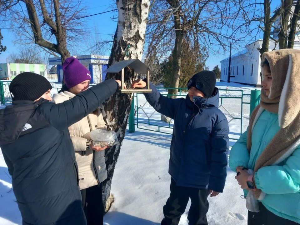 Тепло в зимний холод: пятиклассники Приморской школы позаботились о птицах Тепло в зимний холод: пятиклассники Приморской школы позаботились о птицах