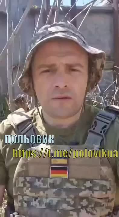 Енот из Херсона: Чубатые, видимо, никогда не научатся отвечать за свои слова