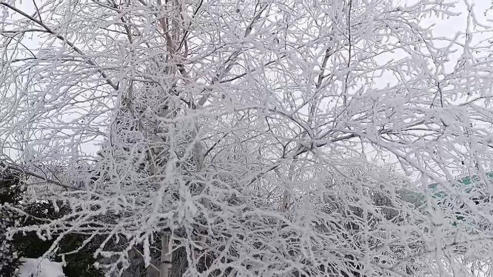 ������ ����, ������ ���������� ������!