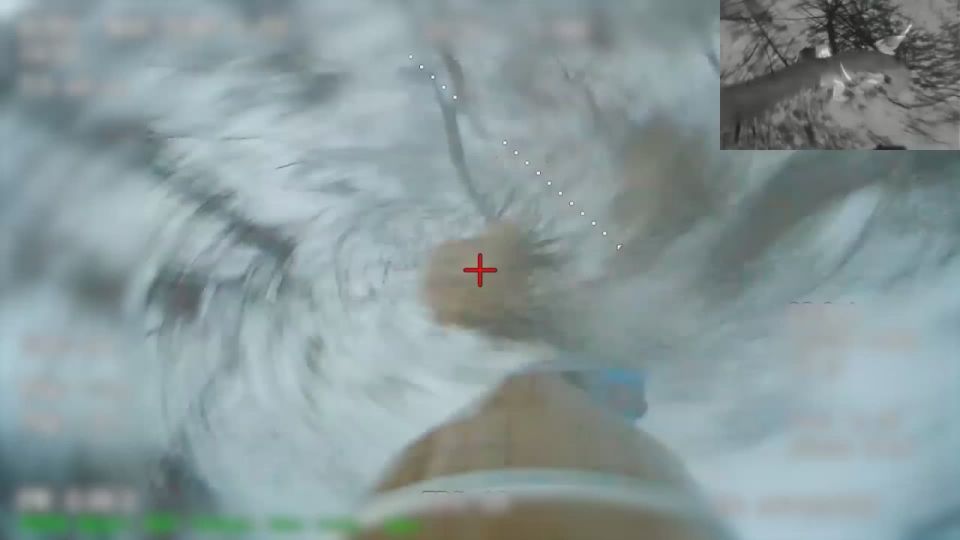 ���� �� �������: � ���� ��������������� ����������� ����� ������ ������� ����������� ������ ��������������� ������������ ��������-���������� ������� ���������� � ���� ����������� �������� ���������� �� ��������� ������ ���