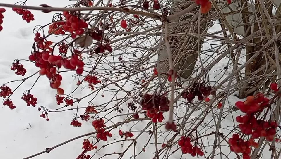 ������ ����!. ������� ��� ����� ������� � ���� ������� ����� ������! �������, ������� ������ � ���� � � ����� ������, ������ ��� ������ ����-�� � ���, ������ ���, ����������� �������, ������ � ����������, � ����� ���� ��...