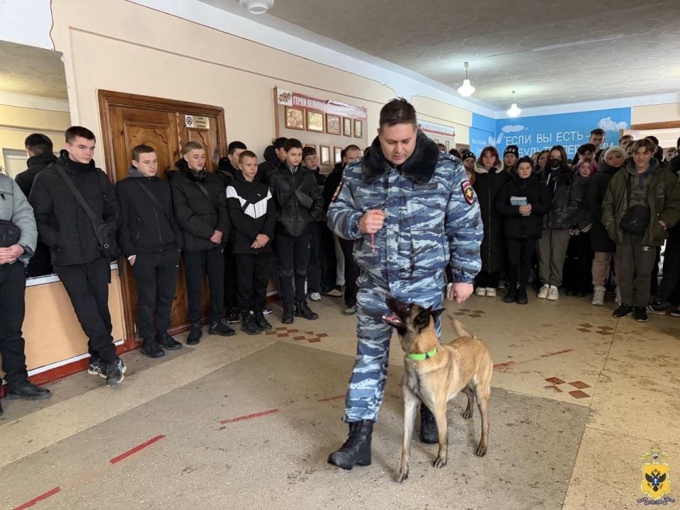 � ���������� ������� �������� ������������� � ������� �����������