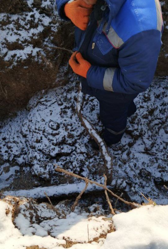 ����������� ���������� ��� ���������� ������������� ������ �� ����� ������������� � ���������� ���������� ������� � ��������� ������������ ������� ������������� �. �������