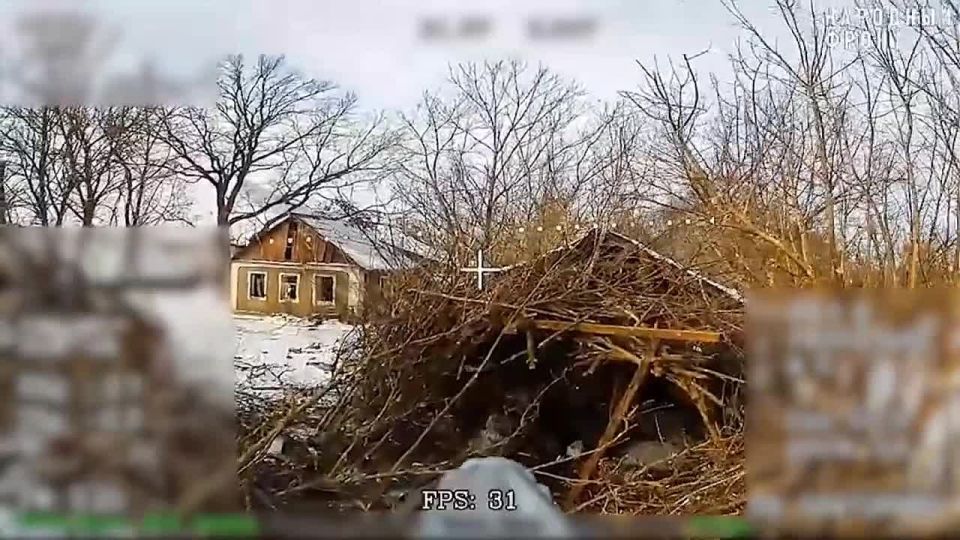 ����� �������� ������ ������ ���������� FPV-������ ������ ���������