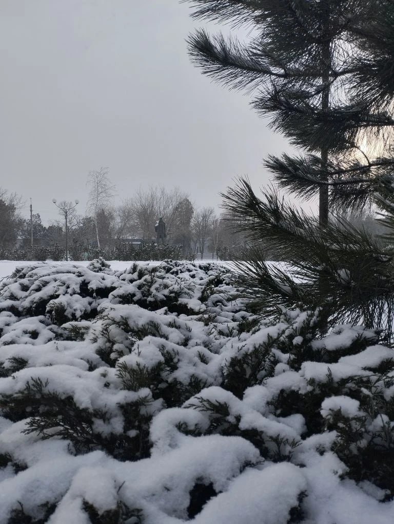 Юные фотографы запечатлели зимнюю сказку Нижнесерогозского МО Юные фотографы запечатлели зимнюю сказку Нижнесерогозского МО