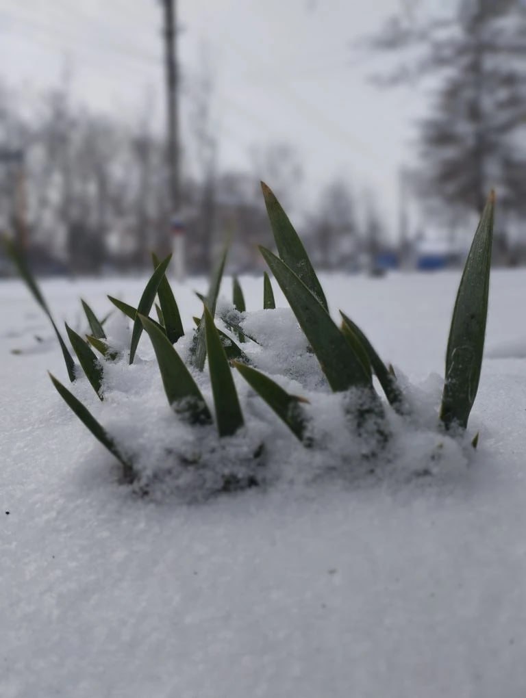 Юные фотографы запечатлели зимнюю сказку Нижнесерогозского МО Юные фотографы запечатлели зимнюю сказку Нижнесерогозского МО