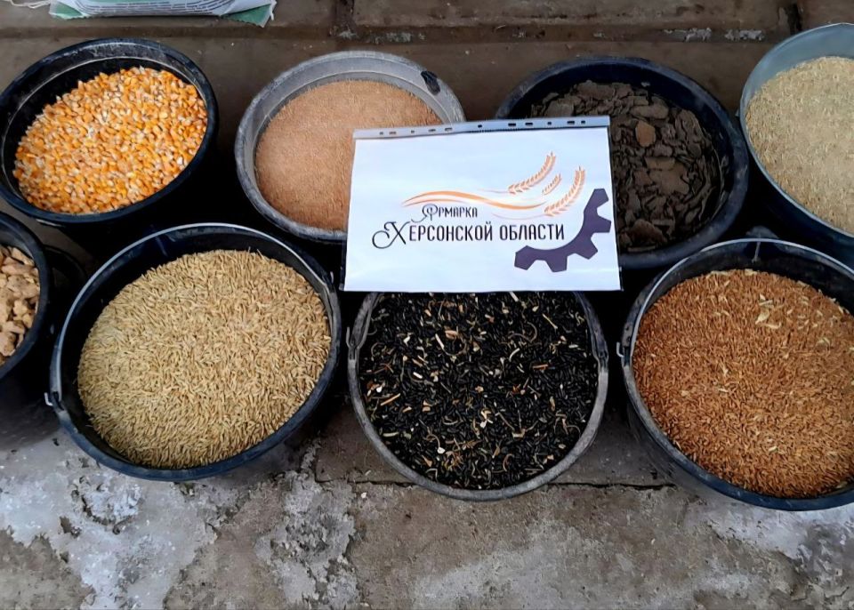 Ярмарки на Левобережье Херсонской области - 56 постоянно действующих площадок, где каждый день начинается с движения и улыбок! Ярмарки на Левобережье Херсонской области - 56 постоянно действующих площадок, где каждый день начинается с движения и улыбок!