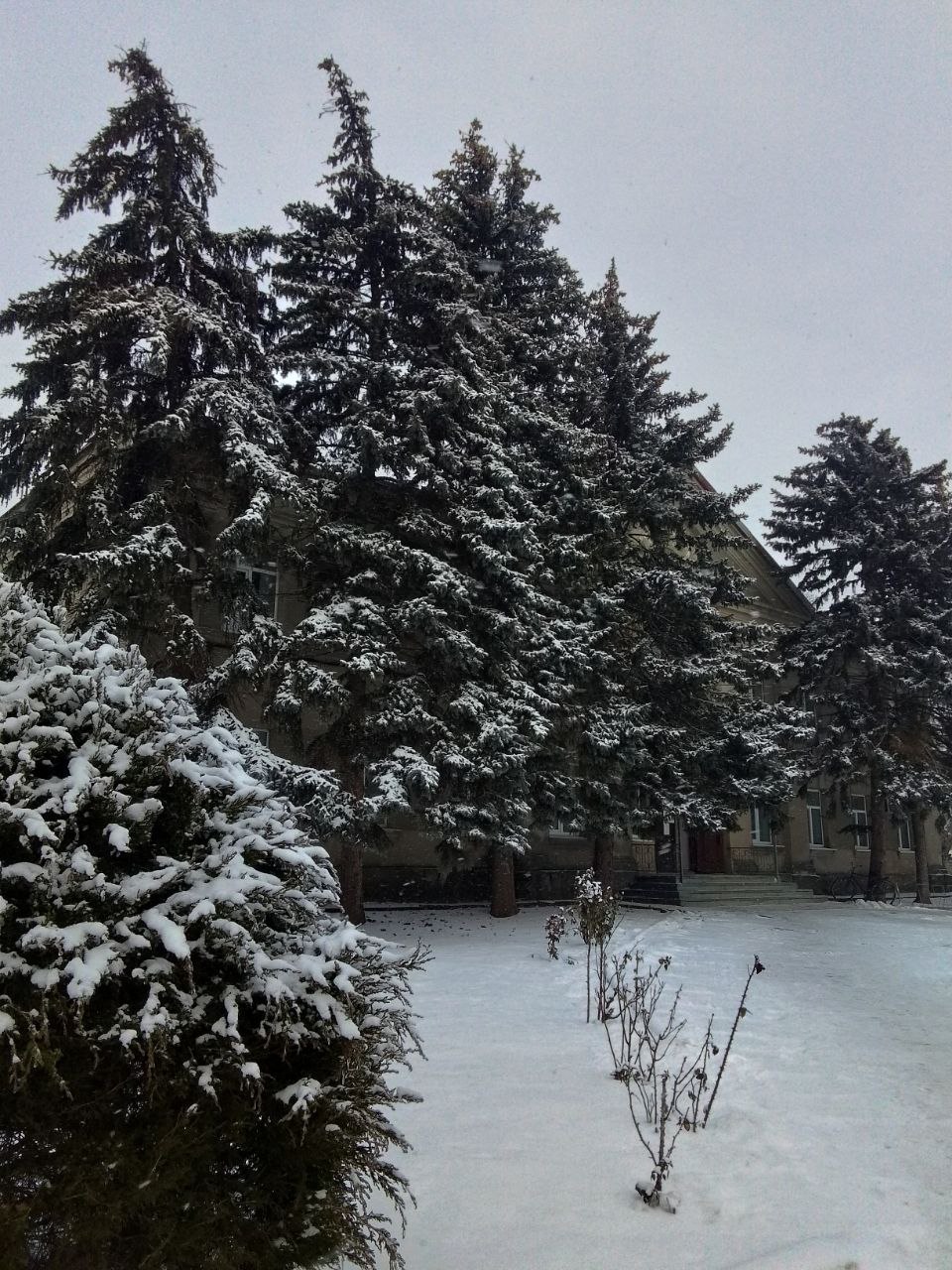 Юные фотографы запечатлели зимнюю сказку Нижнесерогозского МО Юные фотографы запечатлели зимнюю сказку Нижнесерогозского МО