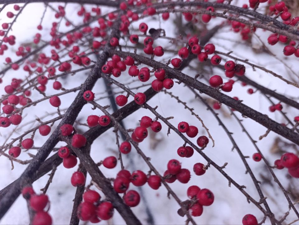 Юлия Семякина: Доброе утро, жители и гости Генического округа! Юлия Семякина: Доброе утро, жители и гости Генического округа!