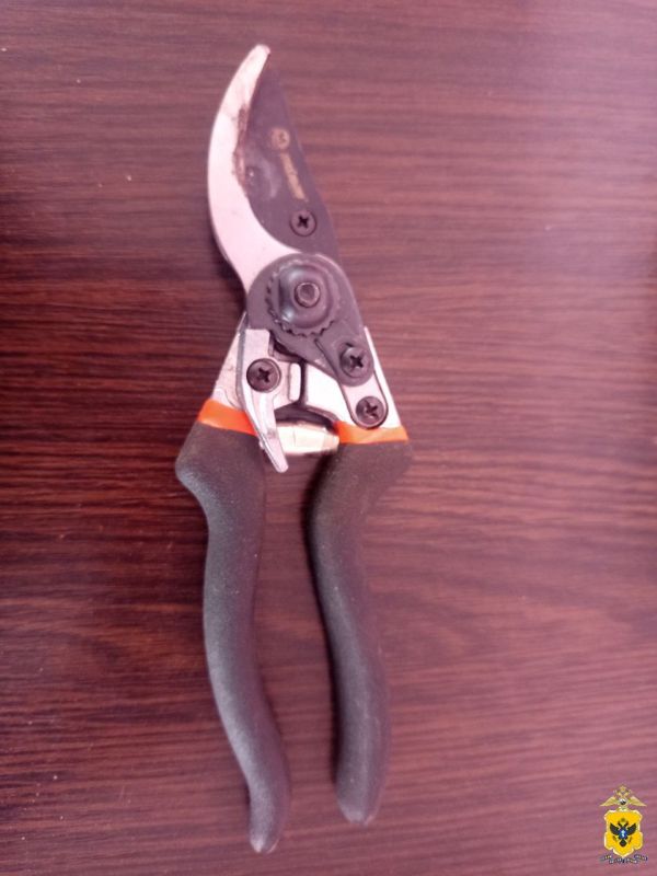 � ����������� ������ ���������� ������� ��������� ������������� � ����� � �������������� � ������