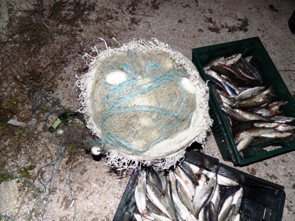 ���������� ������������ ������� ��������� ���� �����������, ���������� ����� 210 ��� � ������ �����