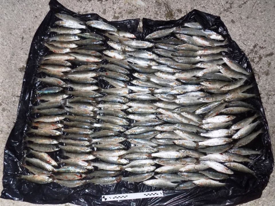 ���������� ������������ ������� ��������� ���� �����������, ���������� ����� 210 ��� � ������ �����