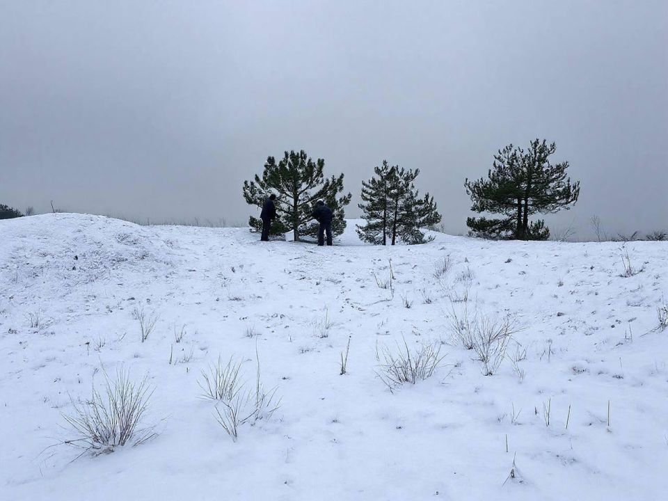 ���� �������� ����� �������� � ��������������� ������� ��� �������������� �����