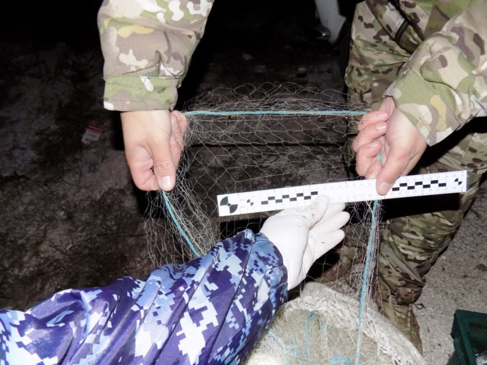 ���������� ������������ ������� ��������� ���� �����������, ���������� ����� 210 ��� � ������ �����