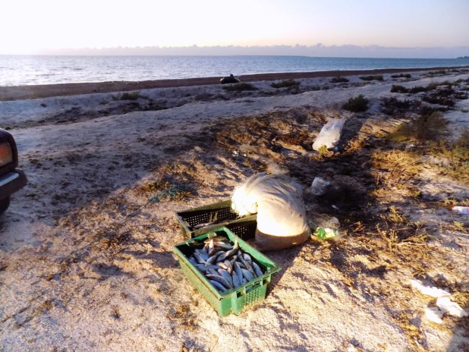 ���������� ������������ ������� ��������� ���� �����������, ���������� ����� 210 ��� � ������ �����