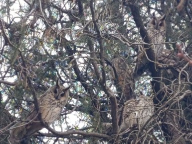 ������ ����, ������ � ����� ����������� ������!