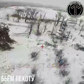 ������ ������ ���� "��������" � ������ ��������������