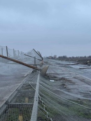 �� ���������� ������ ��������-������ ��������� ������� ������� ������� � ������������ �������