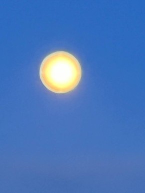 ����� ��������: �������� ����������� ����