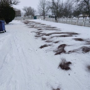 �������� ����� ������ � ����� ������������� ��������� � ������� #����������_����_���