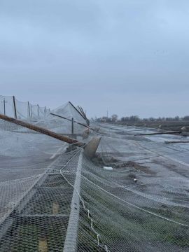 � ������� ������������ ���������� ����, ������� � ��� ��������� ������� ��-�� �����, ������������ �������