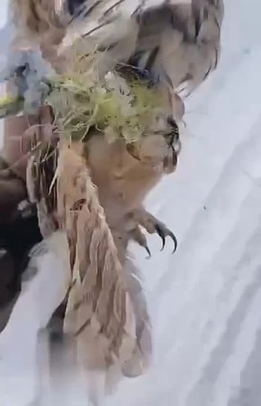 ���� �� ����� �������������� ������ �� ������ ����, ������������ � �������������� ������