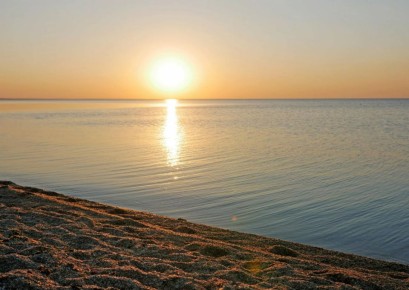 ����� ����������: ����� ������ ����������. ����� ��� ������� ������� � ����� � ����������� � ������ ����