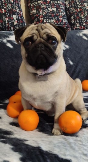 ����������, ����� ���������� ������� ����� � ������ ������ ������!