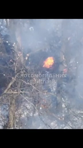 ����� ��� �� ��������. ����� ���� ������� ��������-����� ���������� �������