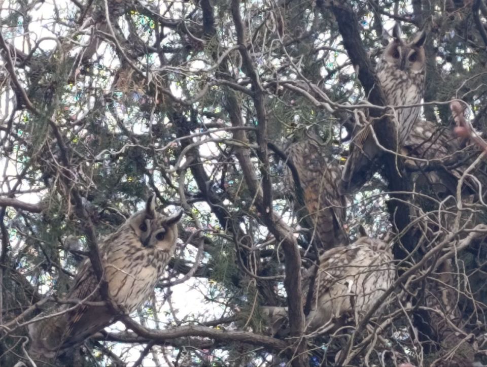 Доброе утро, жители и гости Генического округа! Доброе утро, жители и гости Генического округа!